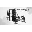 Pegasus® Pro Gym 3 Θέσεων MT-18504-ABC Λ-645