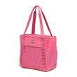 IGLOO TAG ALONG TOTE 30 CAN LAGOON