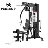 Πολυόργανο Pegasus® HG8 308878800 Πολυόργανο Pegasus® HG8 308878800