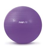 Μπάλα Γυμναστικής 55 cm Μωβ Bulk 48409 Μπάλα Γυμναστικής 55 cm Μωβ Bulk 48409