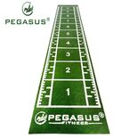 Pegasus® Συνθετικός Χλοοτάπητας 2x11m (3159) 321031585