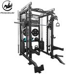 Pegasus® PG-2000 All-In-One Trainer 327200002