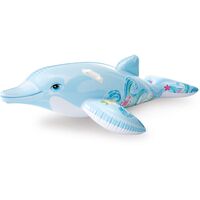 Lil' Dolphin