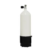 BTS SINGLE STEEL CYLINDER 10L/230BAR