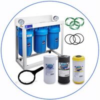 Σύστημα Φίλτρου Big Blue 10'' BBPSCSTCBLS10 της Aqua Filter με Διατομή Παροχής 1''