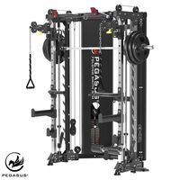 Pegasus® Αναδιπλούμενο All-In-One Trainer PG-3000 392211318
