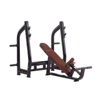 Luxury Incline Bench H-025 (VIKING)