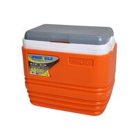 ΨΥΓΕΙΟ PINNACLE PASCO 10.56QT/10LTR ΠΟΡΤΟΚΑΛΙ