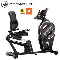 Pegasus® Καθιστό Ποδήλατο B15 341996632