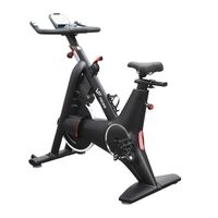 Viking Sparkle Ποδήλατο Spin