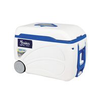 ΨΥΓΕΙΟ VOYAGER/MARINE 47QT/45LTR ROLLER