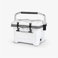IGLOO IMX 24 WHT/MNSCPE