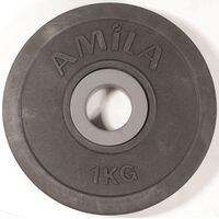 Δίσκος με Επένδυση Λάστιχου 1,00Kg AMILA Κωδ. 44471