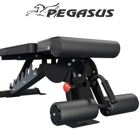 Pegasus® Ρυθμιζόμενος Πολυπάγκος OK9101C Λ-681