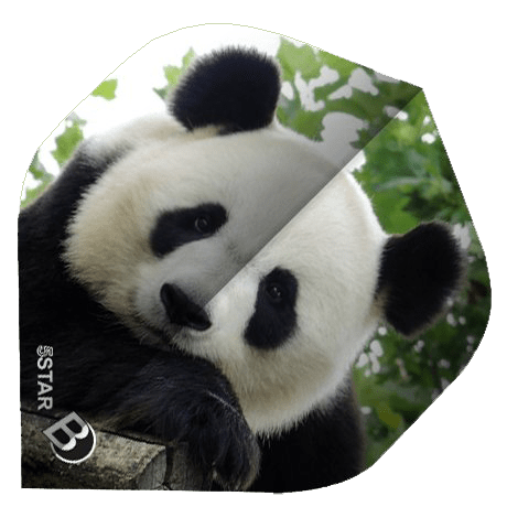 ΦΤΕΡΑ BULL'S DART, 5-Star Flights, A-Std, Panda