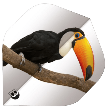 ΦΤΕΡΑ BULL'S DART, Motex Flights, A-Std, Bird