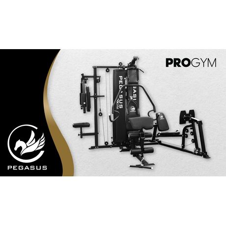 Pegasus® Pro Gym 3 Θέσεων MT-18504-ABC Λ-645