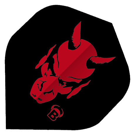 ΦΤΕΡΑ BULL'S Motex Flights | A-Standard
