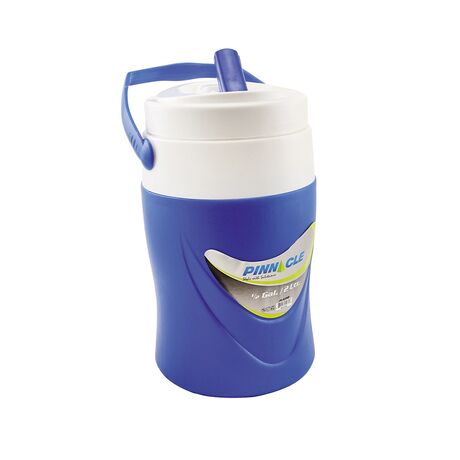 ΘΕΡΜΟΣ PLATINO 1/2 GAL. ΠΟΡΤΟΚΑΛΙ