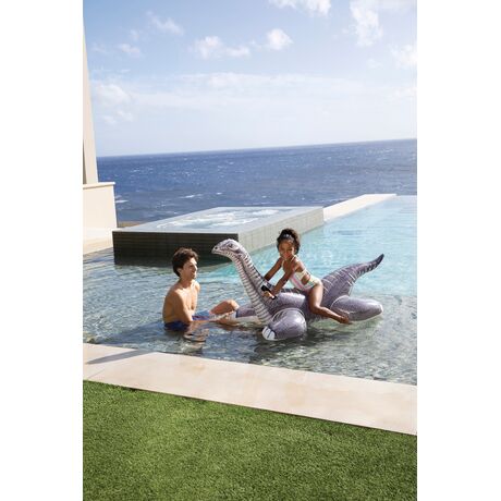 Brontosaurus Ride-On 57584