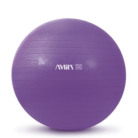 Μπάλα Γυμναστικής 55 cm Μωβ Bulk 48409 Μπάλα Γυμναστικής 55 cm Μωβ Bulk 48409