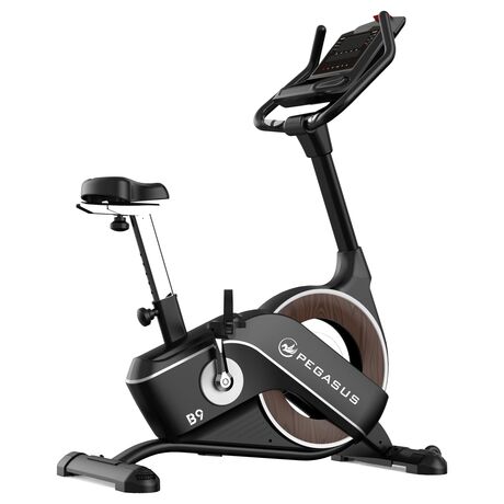 Ποδήλατο Γυμναστικής Pegasus® B9 341996602