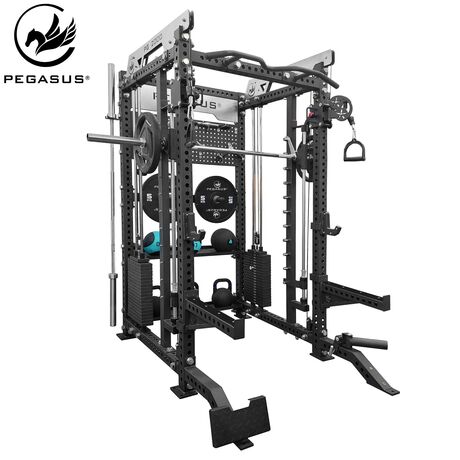 Pegasus® PG-2000 All-In-One Trainer 327200002