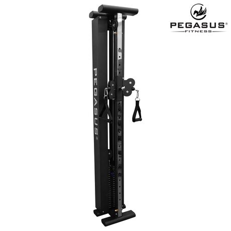 Functional Trainer Τοίχου Pegasus® T-SC01 327201931