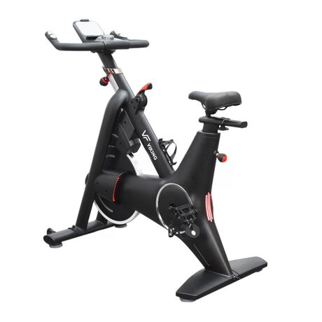 Viking Sparkle Ποδήλατο Spin