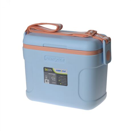 ΨΥΓΕΙΟ PASSION 10.5QT/8LTR ΛΑΪΜ