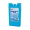 Παγοκύστη Igloo Ice Block Medium Kωδ. 41032