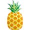 Pineapple Mat